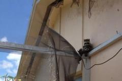 Animal Screen Damage