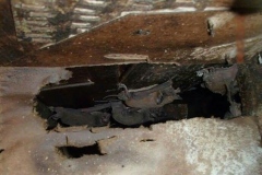 Bat Intrusion Removal
