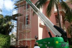 Bat Intrusion Removal