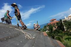 Bat Intrusion Removal