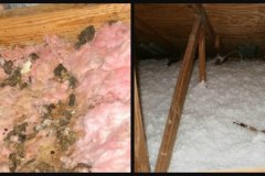 Before and After Clean up in Attic