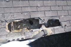 Raccoon Roof Damage