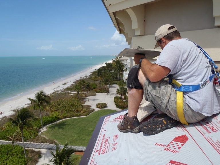 Wildlife Entry Points | Orlando Wildlife Removal | Family Owned and